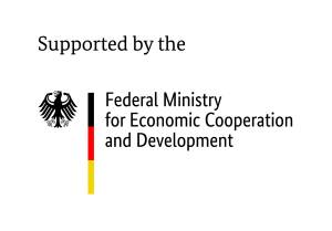 BMZ Logo